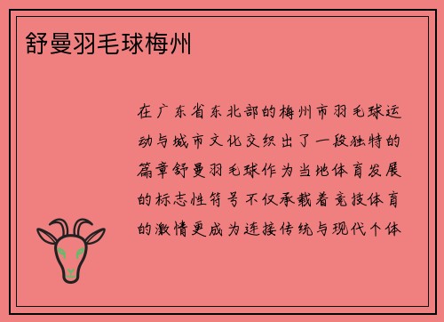 舒曼羽毛球梅州